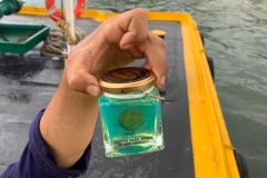sampling-on-board